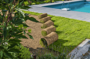 The hidden benefits of instant lawn: More than just good looks