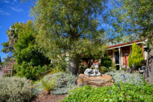Wander down paths of Barb’s eclectic garden