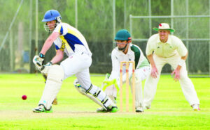 Young Swallows lead way