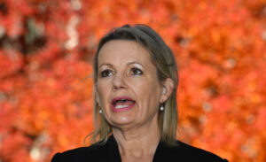 Sussan Ley reverses stance on border closure