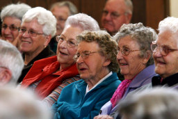 Help create fun this Seniors Fest