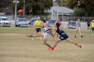 Dogs dash against Kangas