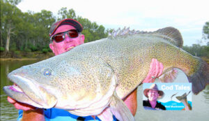 Where have all the large cod gone?