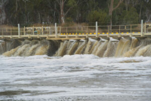 Big basin water market profits sell farmers down the river
