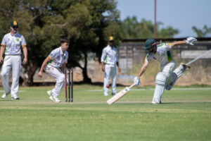 Cricket gallery March 8, 2025
