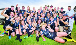 Werrimull swoop again