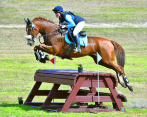 Pony club horseplay