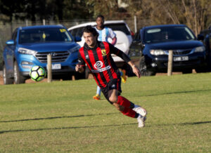 Knights blitz stuns Pointers