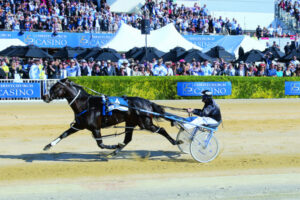New Zealand Trotting Cup spilleth over