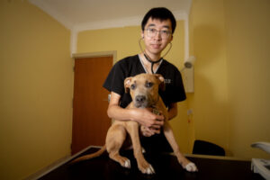 Caring for all creatures, great and small