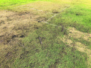 Sticky wicket: Predicament ‘unforgivable’, says club