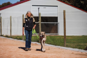 Shining the light on animal welfare