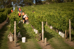 Victoria comes up short on worker quarantine