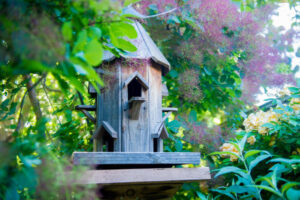 A world of flora at Hyde’s doorstep