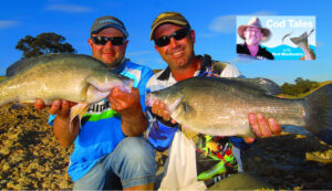 Perch are on the run