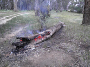 Murray camp patrols