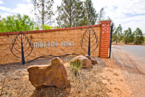Blurred lines prolonged cemetery trust problems, says report