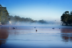 Nationals’ Murray-Darling Basin Plan cuts would hit river