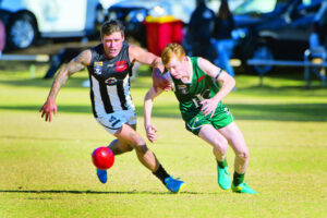 Angry Magpies swoop