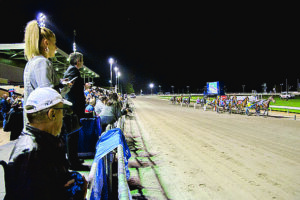 Pacing Cup: High praise for ‘terrific’ carnival