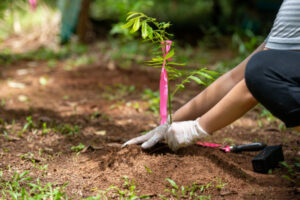 Volunteers are the community heroes