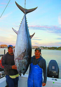 Bluefin bonanza