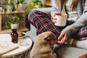 Eco-Friendly Home Heating Tips to Combat Winter Chills in Australia