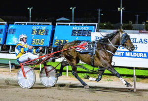 New Zealand pacer leads cup hopes