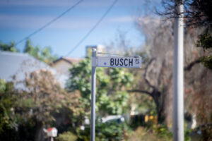 Stabbing accused on remand