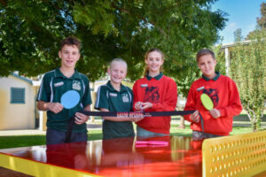 Gol Gol Table Tennis