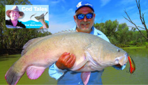 Fishing the internet