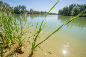 Murray-Darling Basin Plan needs to be flexible