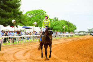 Jockey Stacey Metcalfe wins Balranald Cup on Saturday