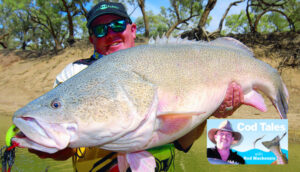 Come in spinnerbaits