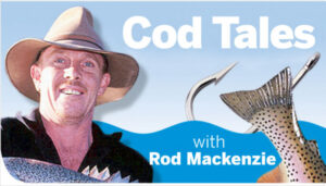 Carp steal show and worms in search for perch