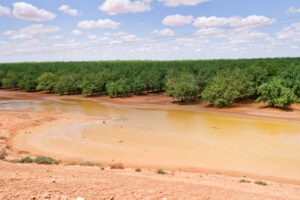 Penalties for water breaches have to count