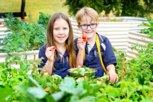 Food for thought at Cardross Primary School