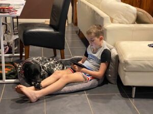 Pets in Isolation – May 8, 2020