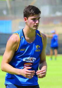 Jarrod Brander has debut chance