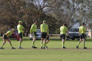 Research exposes umpire abuse