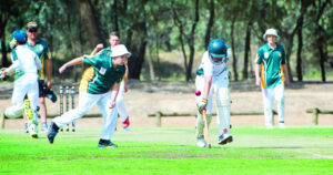 Harvest of thrills in T20