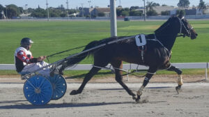 Mildura harness racing April 3: Arden Castle chases win