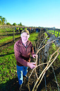 Pruning tips make the cut