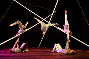 From monkey bars to circus stars