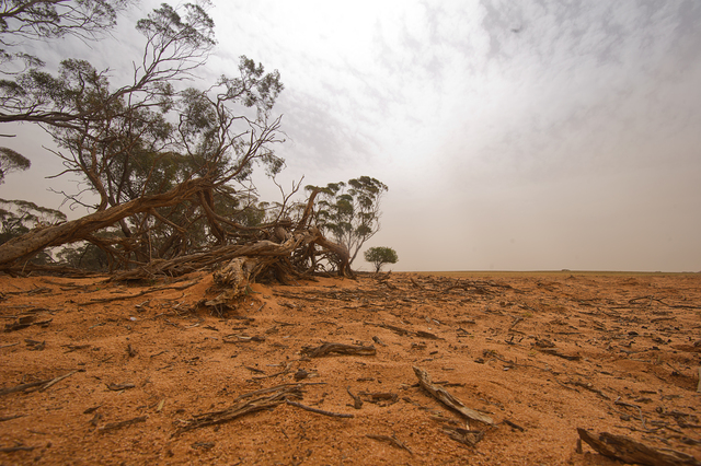 Farm funding boost less than fruitful
