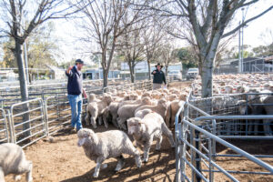 Fundraising for farmer health