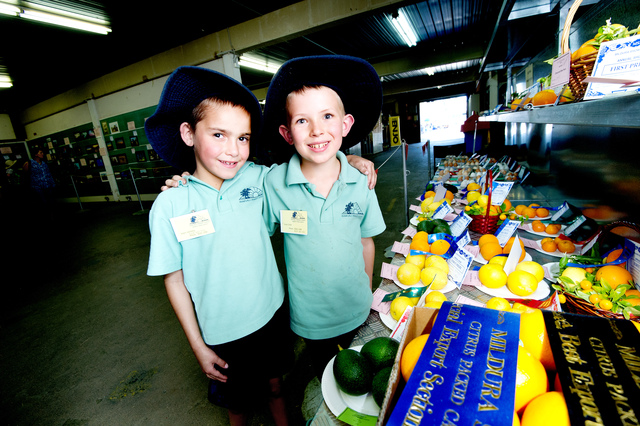 Show entries now open