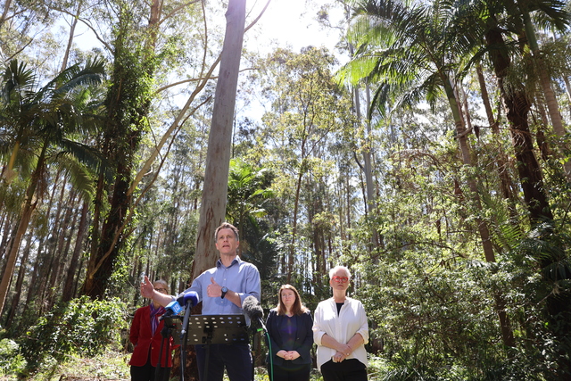 Koala park plan to give logging the chop