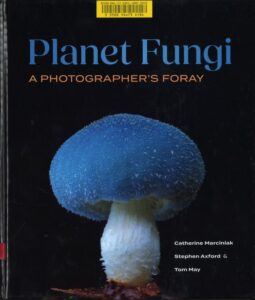 Living wonders on the page