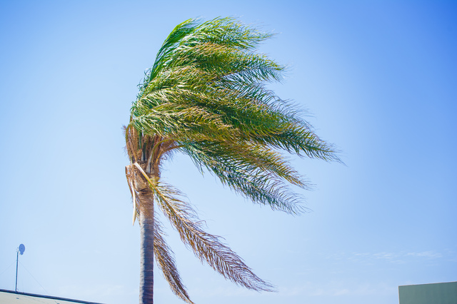 SES responds to wind damage